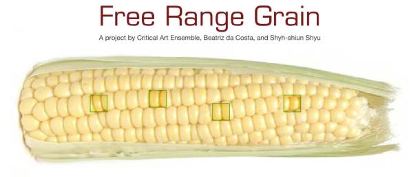 2004 Free Range Grain de Steve Kurtz