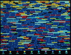 Thomas Ray - Tierra Project