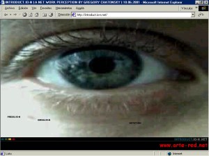 "IO-N.NET" de Gregory Chatonsky